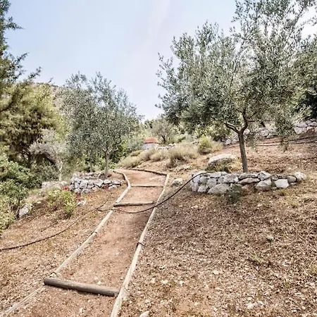 Rodia Eco House In Epidavros - Akros Estate *